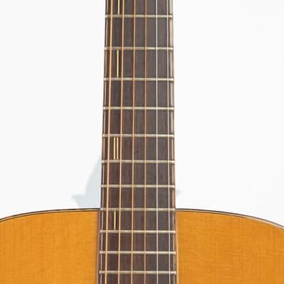 Daion Mark IV Acoustic - Yamaki Made - Serial 831715 image 2