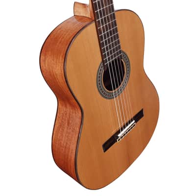 Alvarez   Ac65 Artist image 4