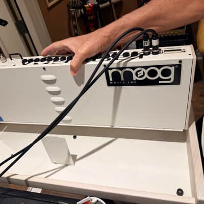 Moog Minimoog Voyager 2015 - Lunar White image 21