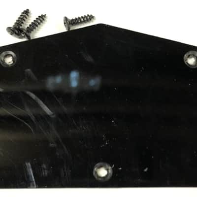 2013 Epiphone Les Paul Special II Control Cavity Cover With Screws image 1