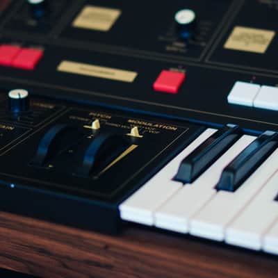 Yamaha CS20M (watch the video) image 3