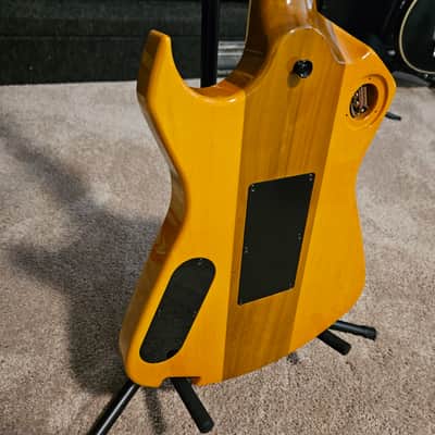 Floyd Rose Redmond Seattle Prototype image 5
