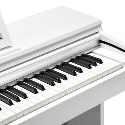 Kurzweil Cup M1-WH - Weiß image 4