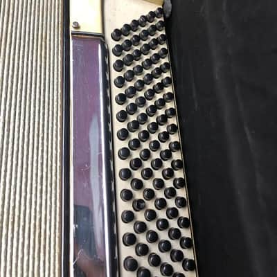 Vintage V.Galizi & Co. Accordion Stephen image 4