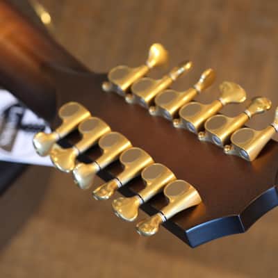 2021 Taylor Builder's Edition 652ce 12-String Acoustic Guitar Wild Honey Burst + OHSC image 20