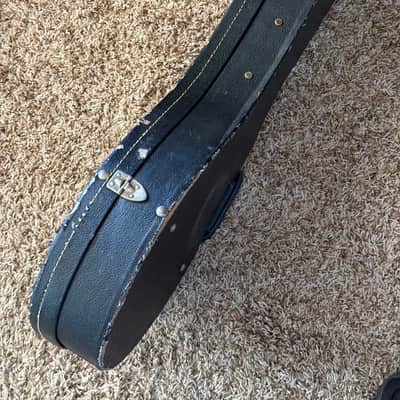 Gibson? Model F style Hard Shell Mando Case 70’s-80’s - Black/Purple image 4
