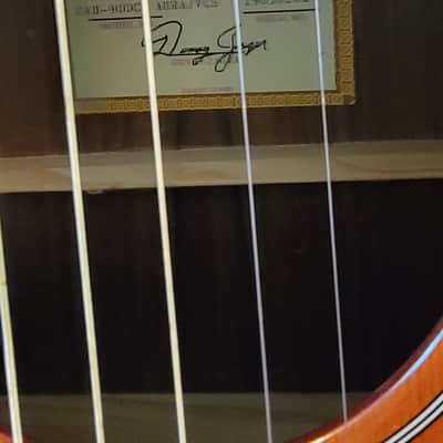 Zager ZAD900CE Tobacco Sunburst - 50th Anniversary image 3