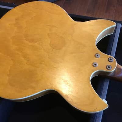 Harmony Rebel w/ Mustache Gold Foil Pickups image 12