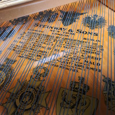 1901 Steinway B Grand Piano Rebuilt by Steinway in 1998 * Free 1st floor Delivery in NJ!* image 9