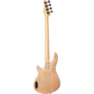 Schecter CV-4 GN image 2