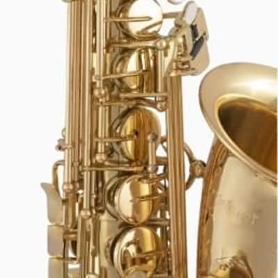 Selmer Alto Saxophone SAS511 Advanced Level Lacquer Finish 24086865 image 3