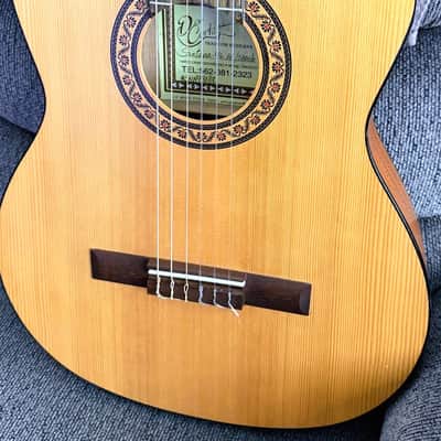 Don Cortez Santana Model 46 AE/Sapele Acoustic Electric Nylon String Cutaway Guitar wGB image 5