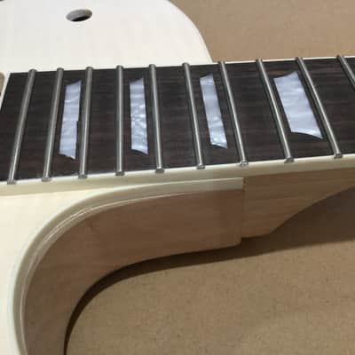 Hosco Single Cut Guitar Kit image 5