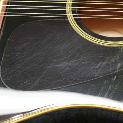 1999 Samick Artist Nightingale SW-260 12 String Black Dreadnought Acoustic Guitar image 8