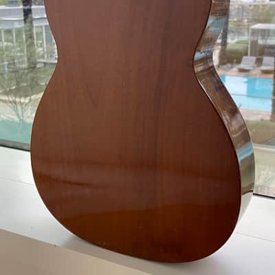 Giannini GN50 Early 1970s - Brazilian Mahogany & Rosewood Varnish image 5