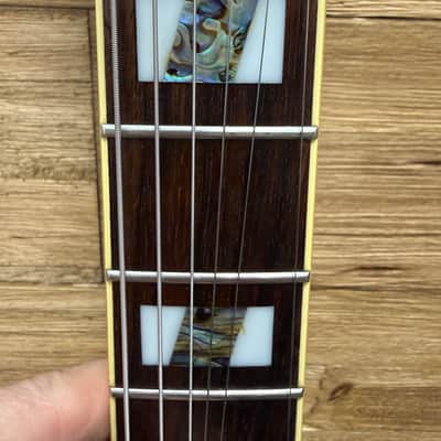 Ibanez AF120-BS Artstar Hollow Body Guitar- 2002 - Brown Sunburst- 6lbs 8oz w/Roadrunner hard case image 10