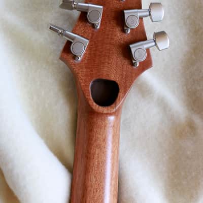Build to Order GB Liuteria Boutique  Plié 6 string python edition for GIANLUCA GRIGNANI image 8