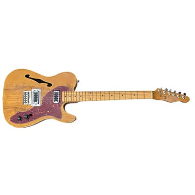 THINLINE "T" STYLE PARTSCASTER WITH GRETSCH PICKUPS image 1