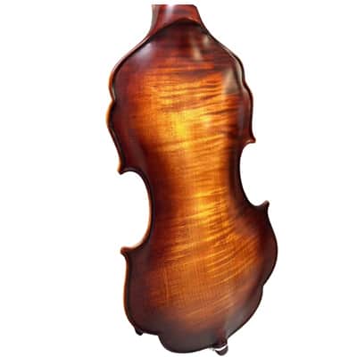Unique design,4/4 Violin without rib, Carved dragon Scroll No rib Violin image 4