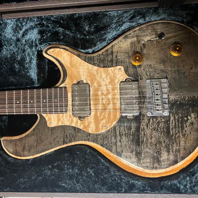 Nishgaki Style-N Guitar Amnis Radix 2018 Suiboku image 2