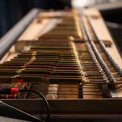 Fender Rhodes 1979 Mark I - Fully Restored/Custom Built image 15