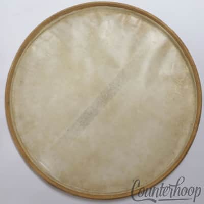 *Ludwig & Ludwig 14" Calf Skin Snare Drum Resonant Head Vintage 40s Transparent* image 1