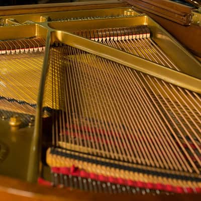 Baldwin Baby Grand Piano - Model M - Made in USA 1963 - FREE Delivery in USA image 16