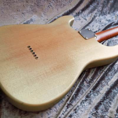 GB Liuteria Traditional Strato semi hollow european walnut relic and resin image 21