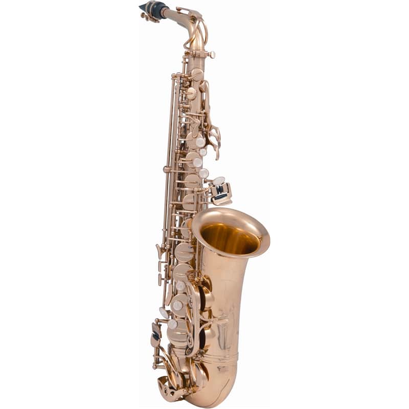 SML Paris VSM A620-II Sax 600 Contralto image 1