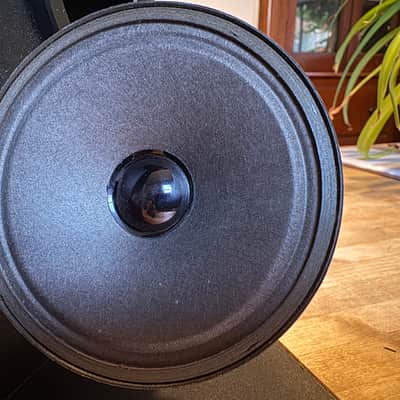 Bose 301 series II - refoamed woofers - Excellent image 10