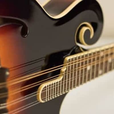 Collings MF5 Mandolin (NAMM Show 2024) image 14