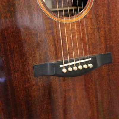 Eastman AC520m  Acoustic Electric w. OHSC image 2