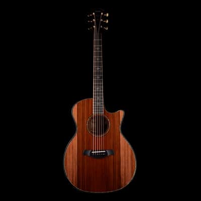 Taylor Builder's Edition 914ce Grand Auditorium Natural with Case image 2
