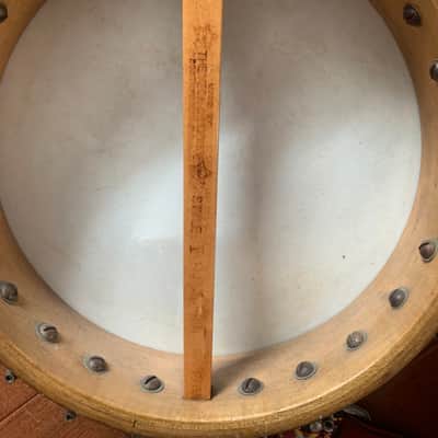 Vega Tenor Banjo and Case, 1920s image 2