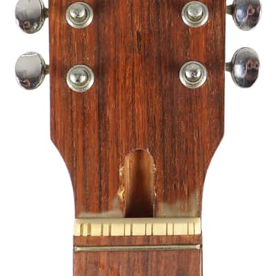 Vintage Tokai Gakki Japan DM12-5 12-string Acoustic Guitar Project image 6