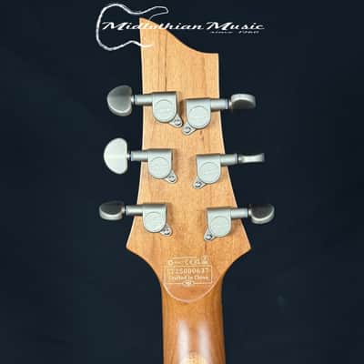 Schecter - C-1 Standard Plus - Transparent Black Burst Satin Finish image 8