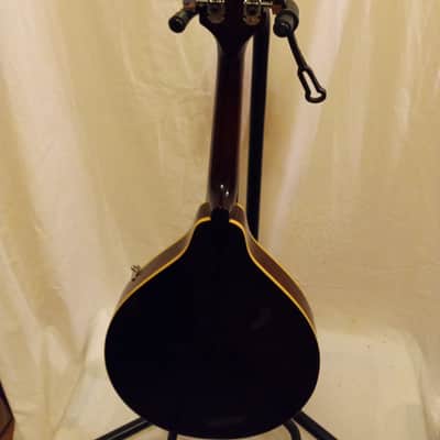 Washburn Oscar Schmidt Unknown - Burnt Sienna image 7