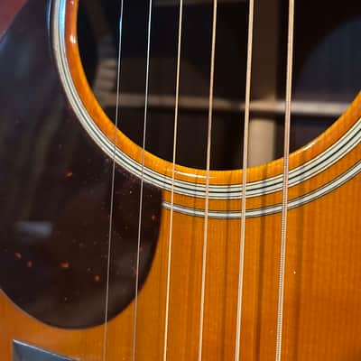 Santa Cruz H13 Left-handed image 6