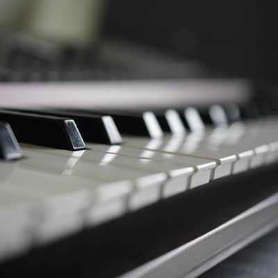 Korg PA1000 61-Key Professional Arranger 2017 - Present - Red image 19