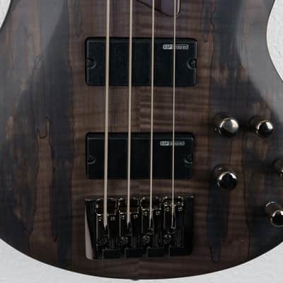 ESP LTD B-204SM- See Thru Black Satin image 5
