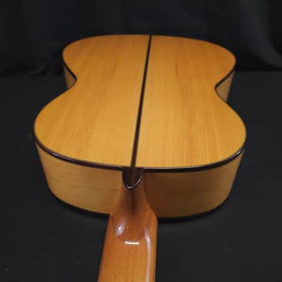 New Jose Ramirez 140 Flamenca Classical Flamenco Nylon String Guitar w/ Logo'd Hard Case image 19