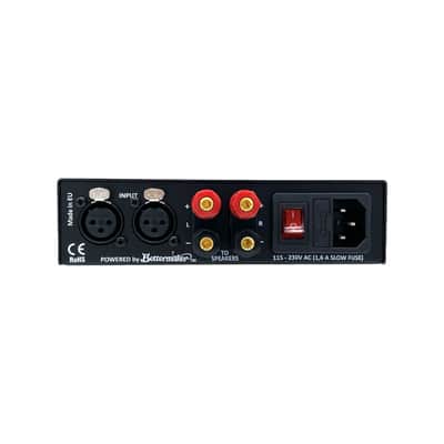 Auratone A2 30 Amplificatore image 4