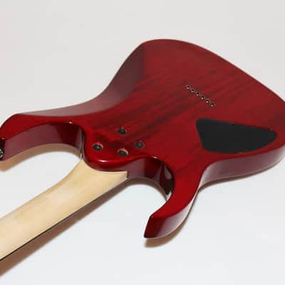 Ibanez RG321 FMSP RG Red Flame Top Electric Guitar image 5
