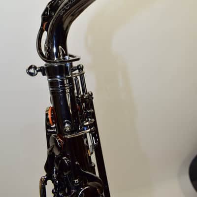 Cannonball A4 Big Bell Stone Series Standard Alto Saxophone, Polished Black Nickel w/ Case image 17