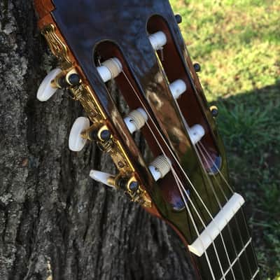 Jose Ramirez R1 Classical Guitar - Solid Cedar Top image 5