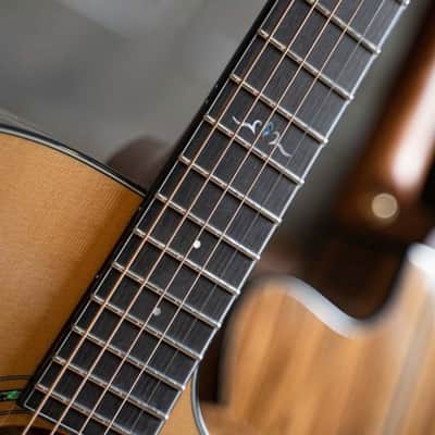 Cort Gold-OC6 Bocote Natural Glossy w/Gigbag (B Stock) image 2