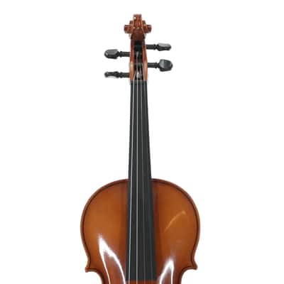Violin 4/4 Paesold Mod Nr 5800-4 image 3