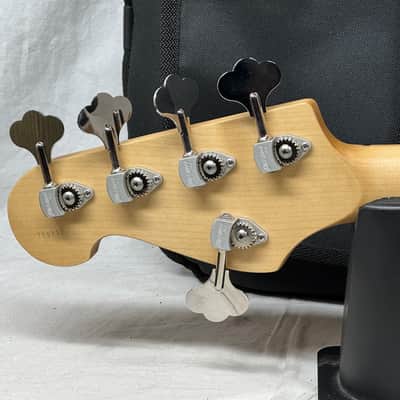 Maruszczyk Custom Jake TB 5p tb5p Thunderbird 5-string Bass with COA + Gig Bag 2025 - Living Color image 9