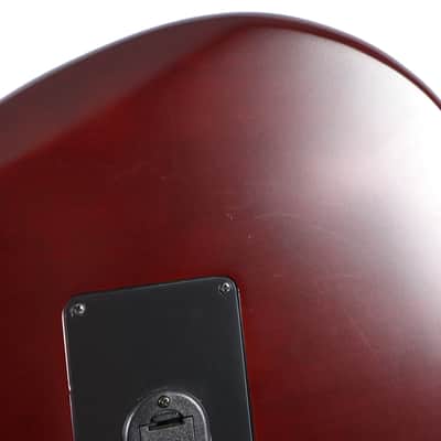 Godin Multiac ACS SA Nylon String 13-Pin Natural Acoustic Electric Guitar w/ Gig Bag image 10
