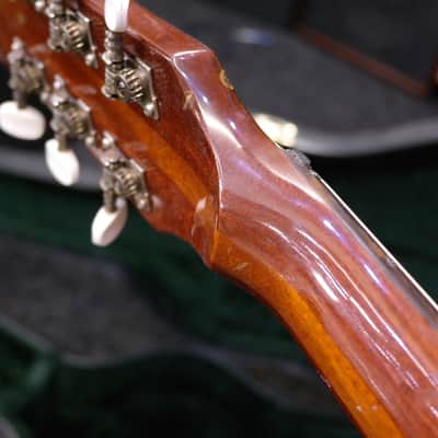 Eko Ranger VI Electroacoustic (Hard Case included) image 5